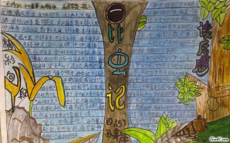 小学生昆虫记手抄报图片图片1