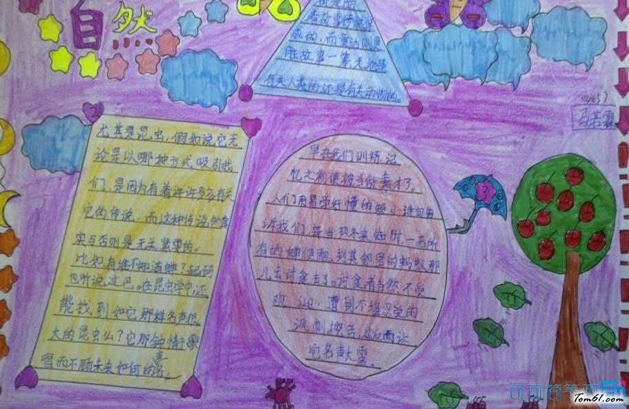 小学生昆虫记手抄报图片2图片1