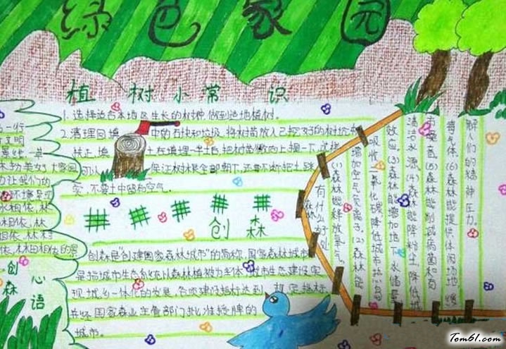 创森手抄报图片1