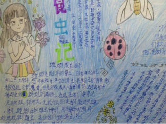 读昆虫记手抄报版面设计图