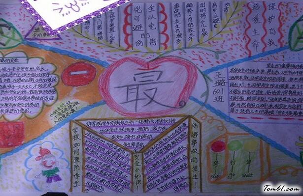 安全知识的手抄报版面设计图2图片1