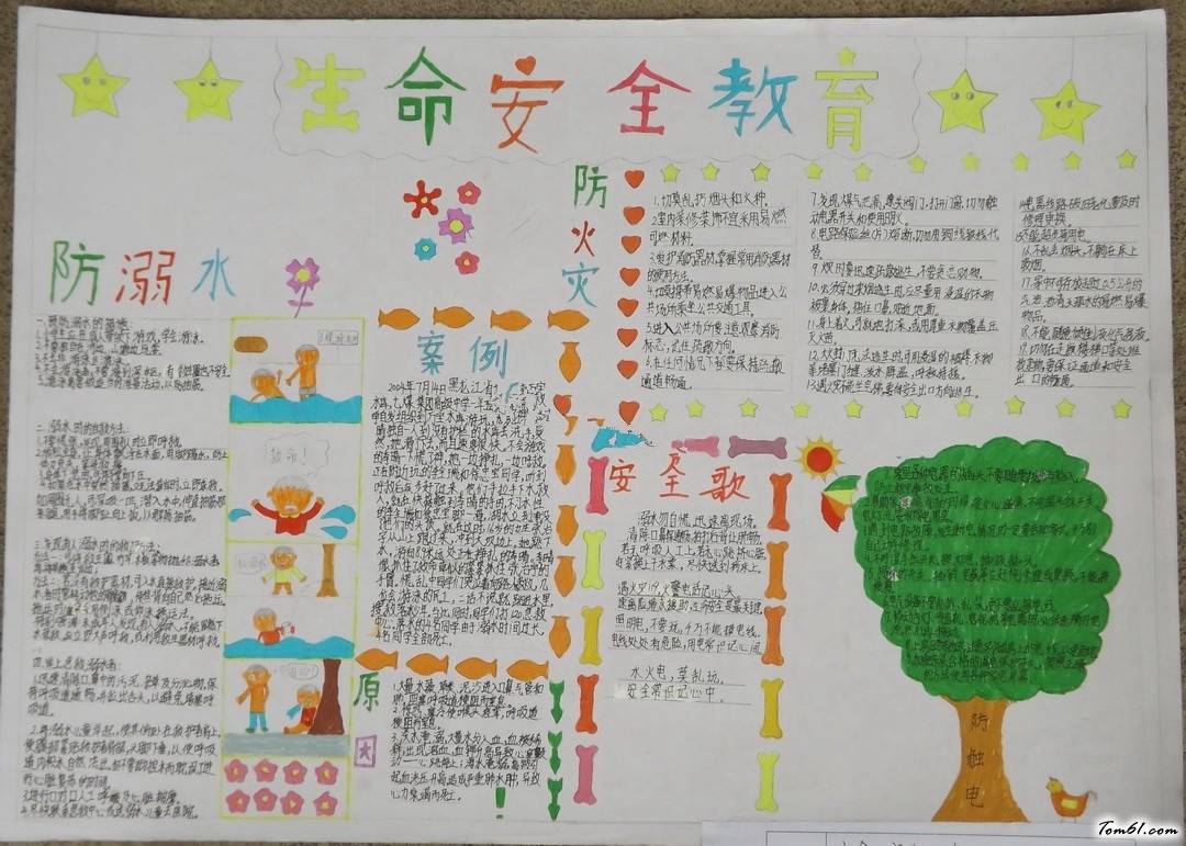 安全教育手抄报版面设计图4图片1