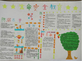 安全教育手抄报版面设计图4