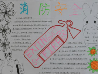 食品安全手抄报版面设计图5