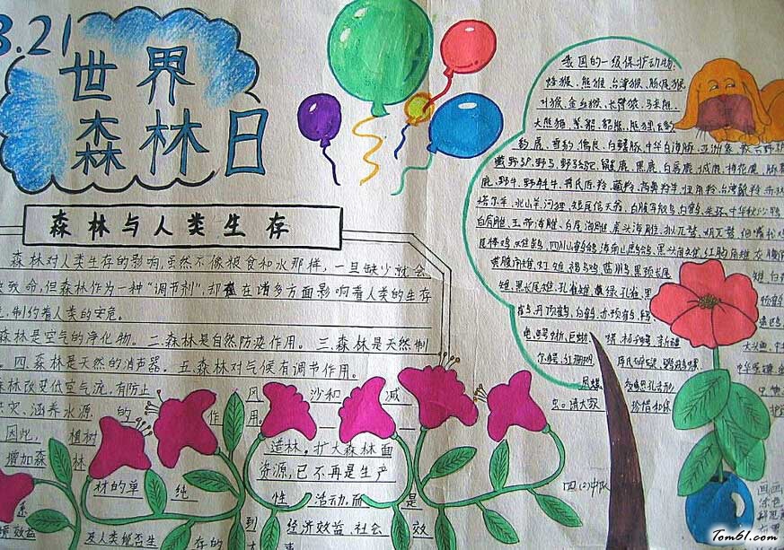 世界森林日手抄报版面设计图3图片1