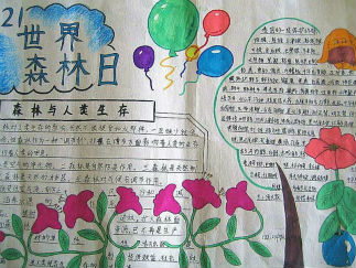 世界森林日手抄报版面设计图3