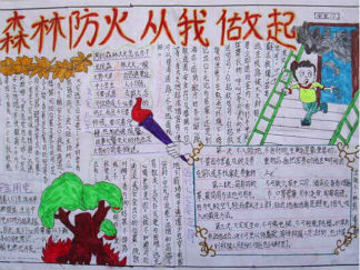 世界森林日手抄报版面设计图4