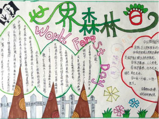 世界森林日手抄报版面设计图2