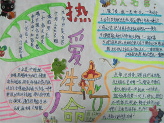 科学知识手抄报版面设计图