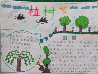 植树节手抄报版面设计图7