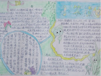 小笨熊手抄报版面设计图