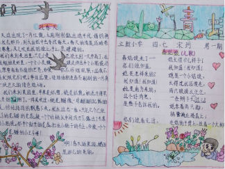 小青蛙手抄报版面设计图