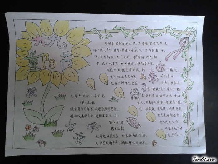 共度重阳节手抄报版面设计图图片1