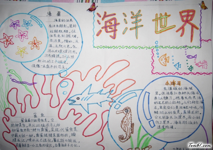 海洋世界小学生手抄报版面设计图图片1