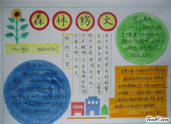 森林防火安全教育手抄报版面设计图图片1