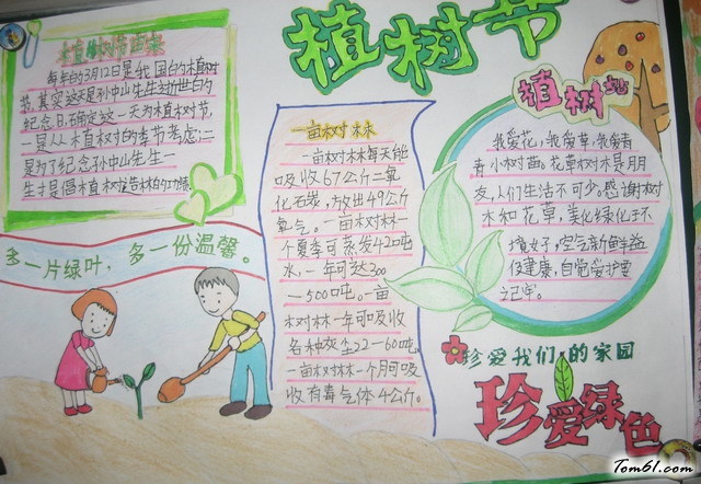 3.12植树节手抄报版面设计图2图片1