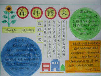 森林防火安全教育手抄报版面设计图