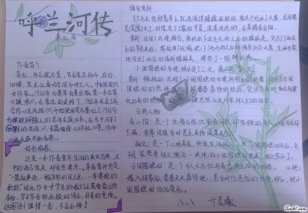 初中呼兰河传手抄报版面设计图3图片1