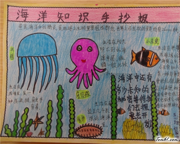 海洋知识手抄报版面设计图图片1