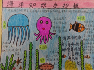 海洋知识手抄报版面设计图