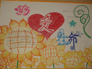 珍爱生命手抄报版面设计图2