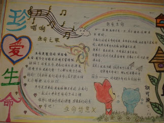 珍爱生命手抄报版面设计图