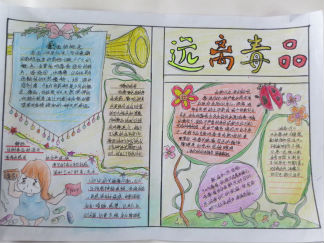 小学生远离毒品手抄报版面设计图