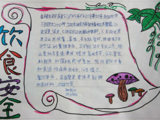 饮食安全手抄报版面设计图