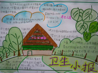 五年级卫生手抄报版面设计图