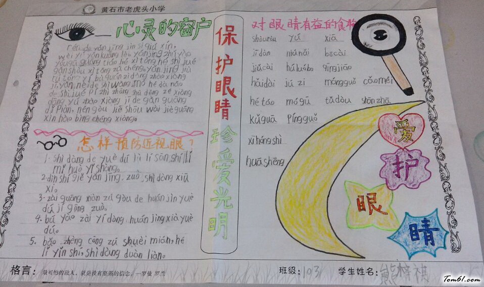 小学生爱护眼睛手抄报版面设计图图片1