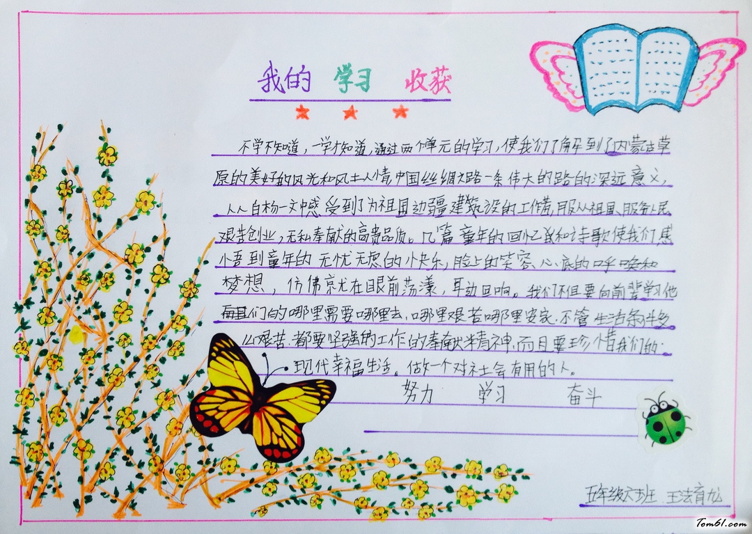 我的学习收获手抄报版面设计图图片1