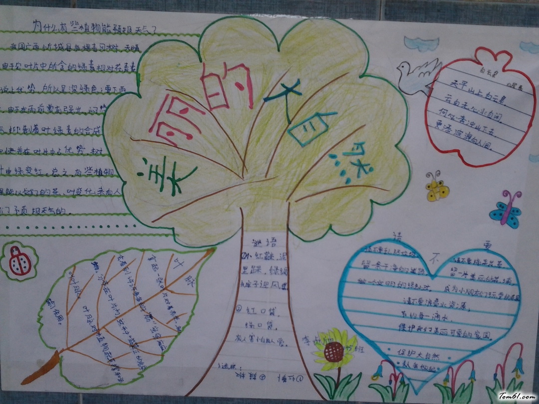 美丽的大自然手抄报版面设计图图片1