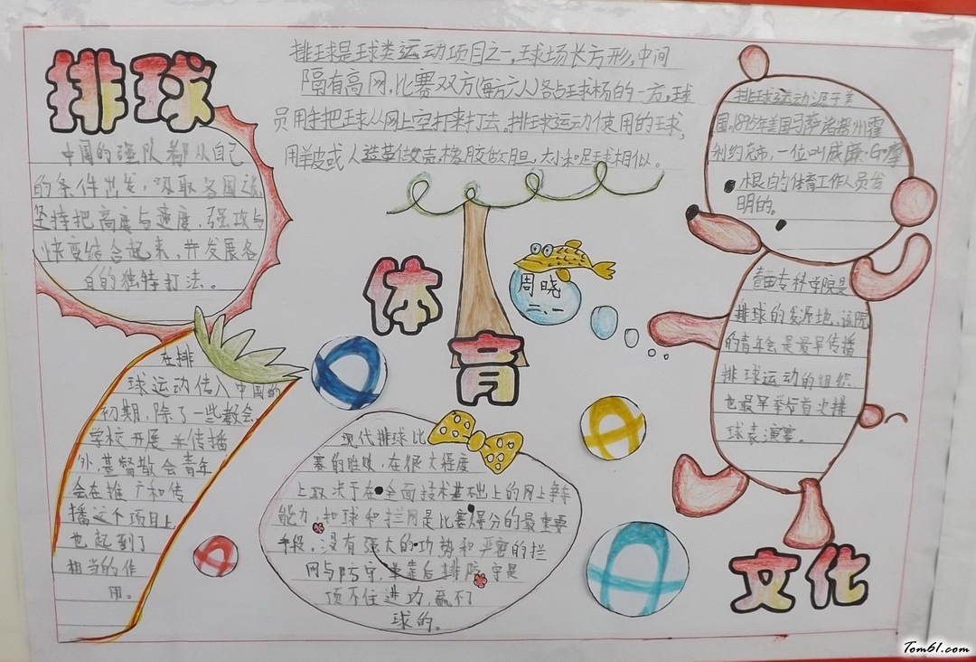 排球体育文化手抄报版面设计图图片1
