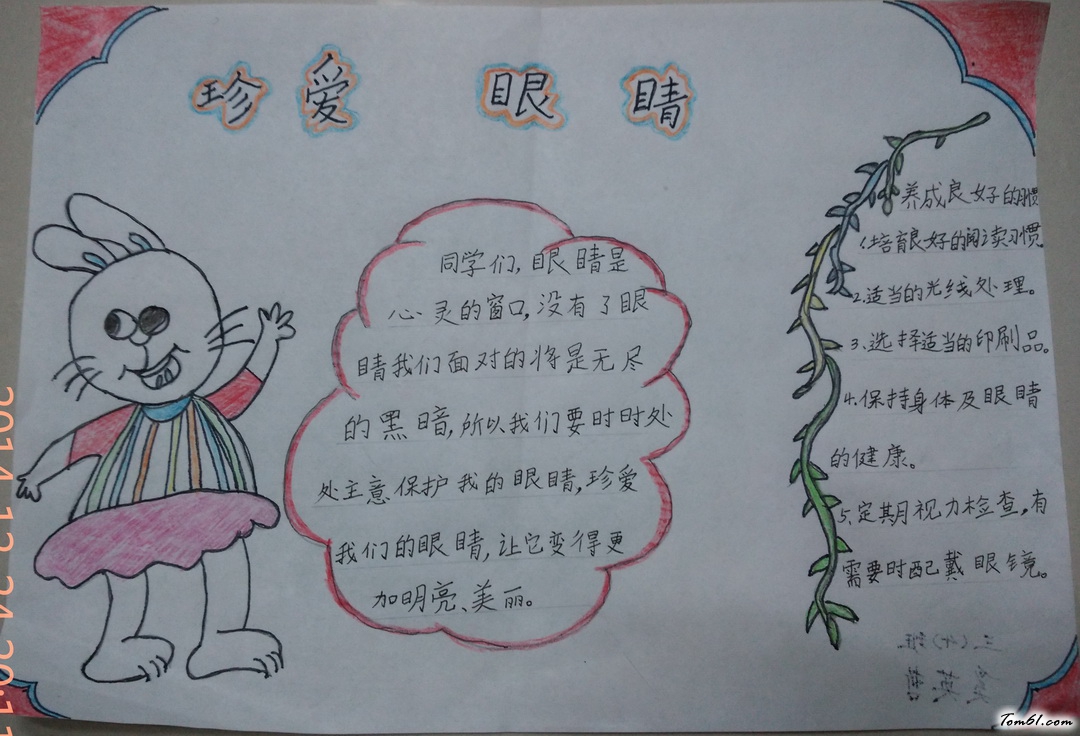 珍爱眼睛手抄报版面设计图图片1