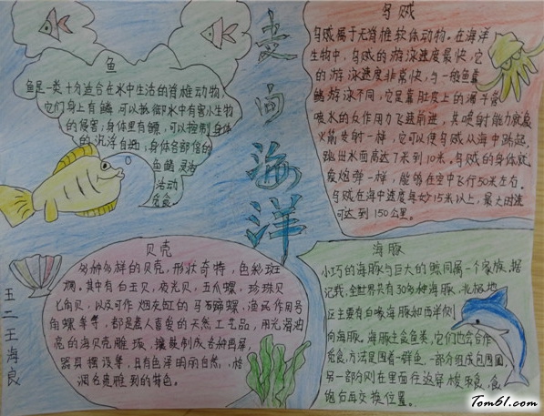 小学生走向海洋手抄报版面设计图图片1