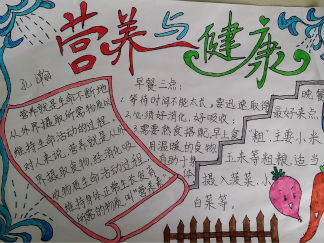 营养与健康手抄报版面设计图