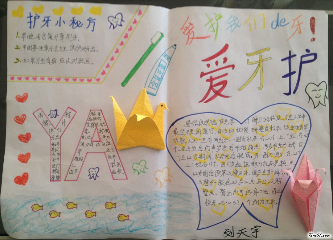 爱牙护牙手抄报版面设计图图片1