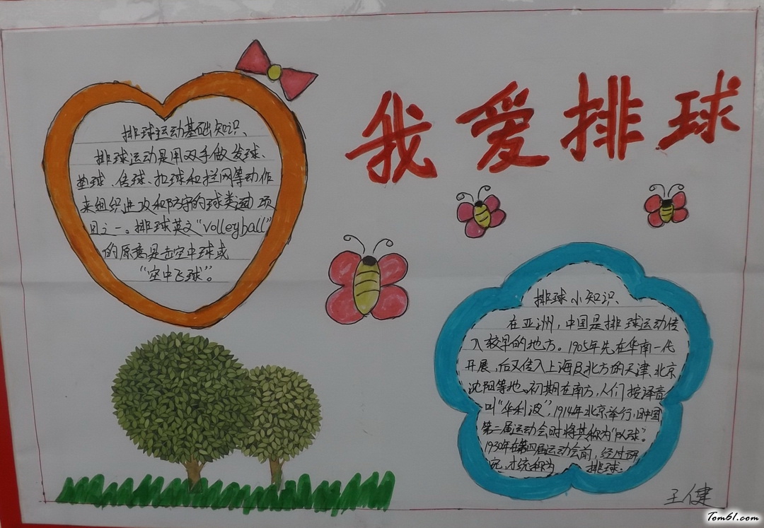 我爱排球手抄报版面设计图图片1