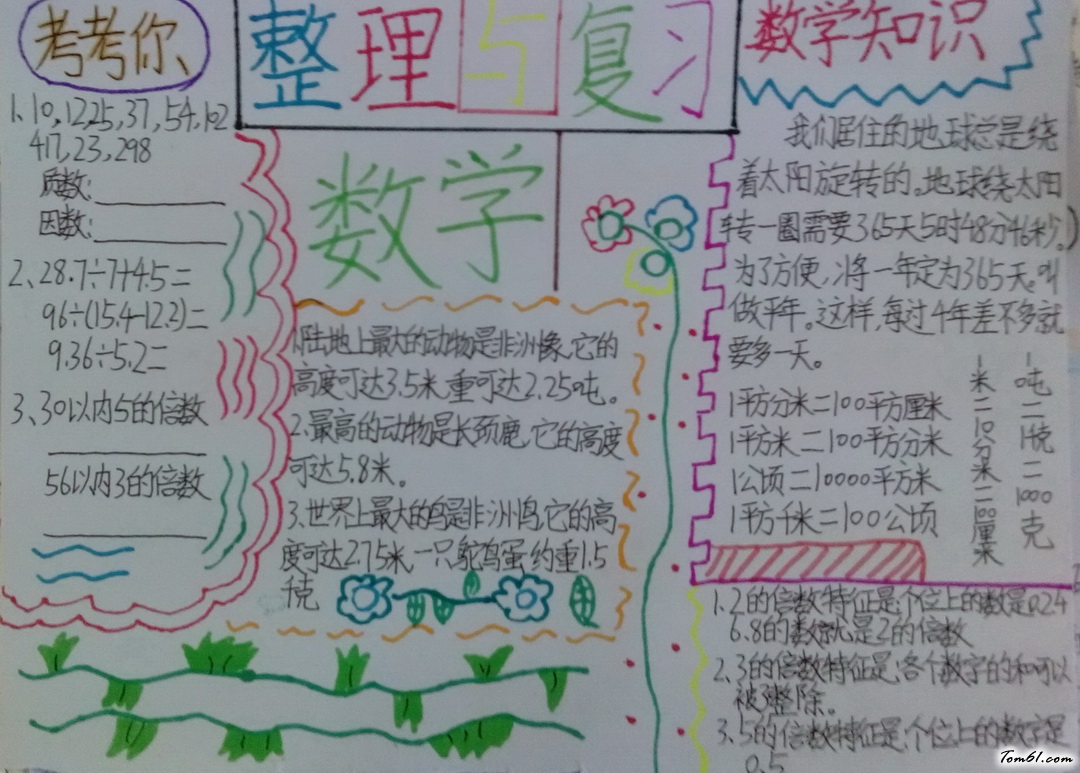 整理与复习手抄报版面设计图3图片1