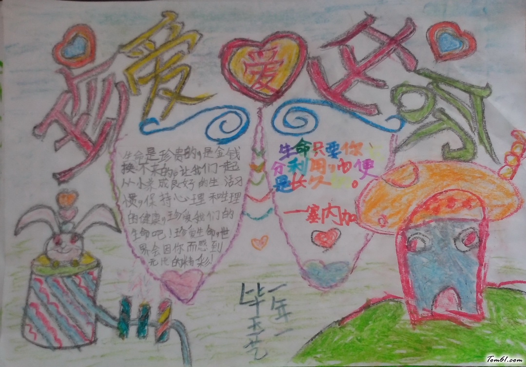 一年级珍爱生命手抄报版面设计图图片1