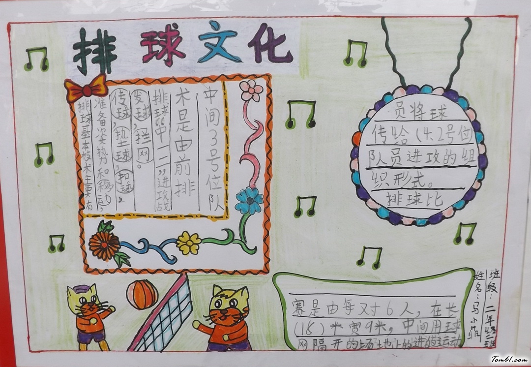 小学二年级排球文化手抄报版面设计图2图片1