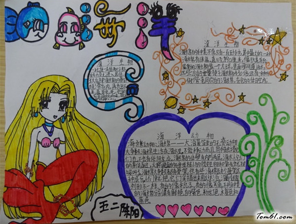 海洋手抄报版面设计图10图片1