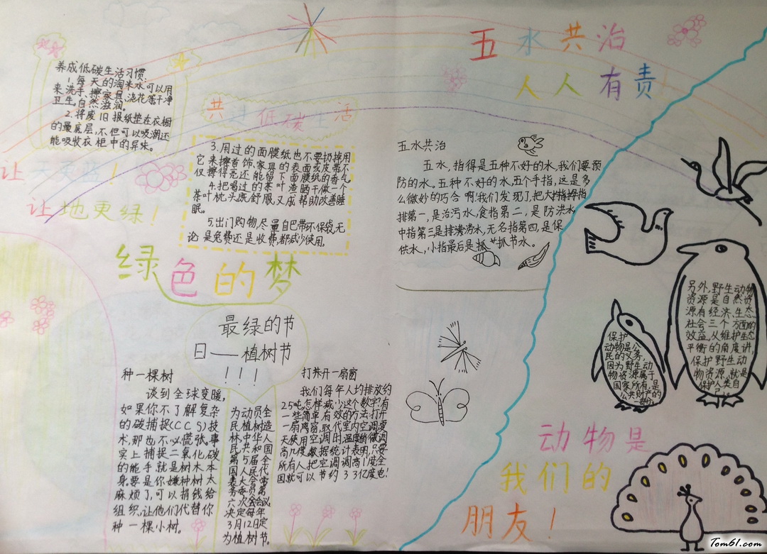 五水共治人人有责手抄报版面设计图图片1