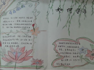 如何学习手抄报版面设计图