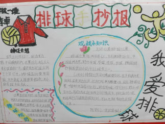 我爱排球手抄报版面设计图4