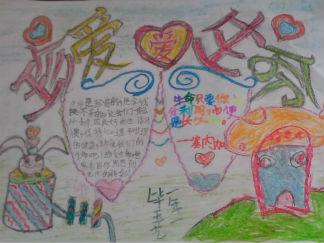 一年级珍爱生命手抄报版面设计图