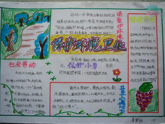 保护环境卫生手抄报版面设计图