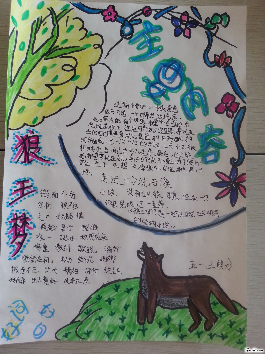 狼王梦手抄报版面设计图3