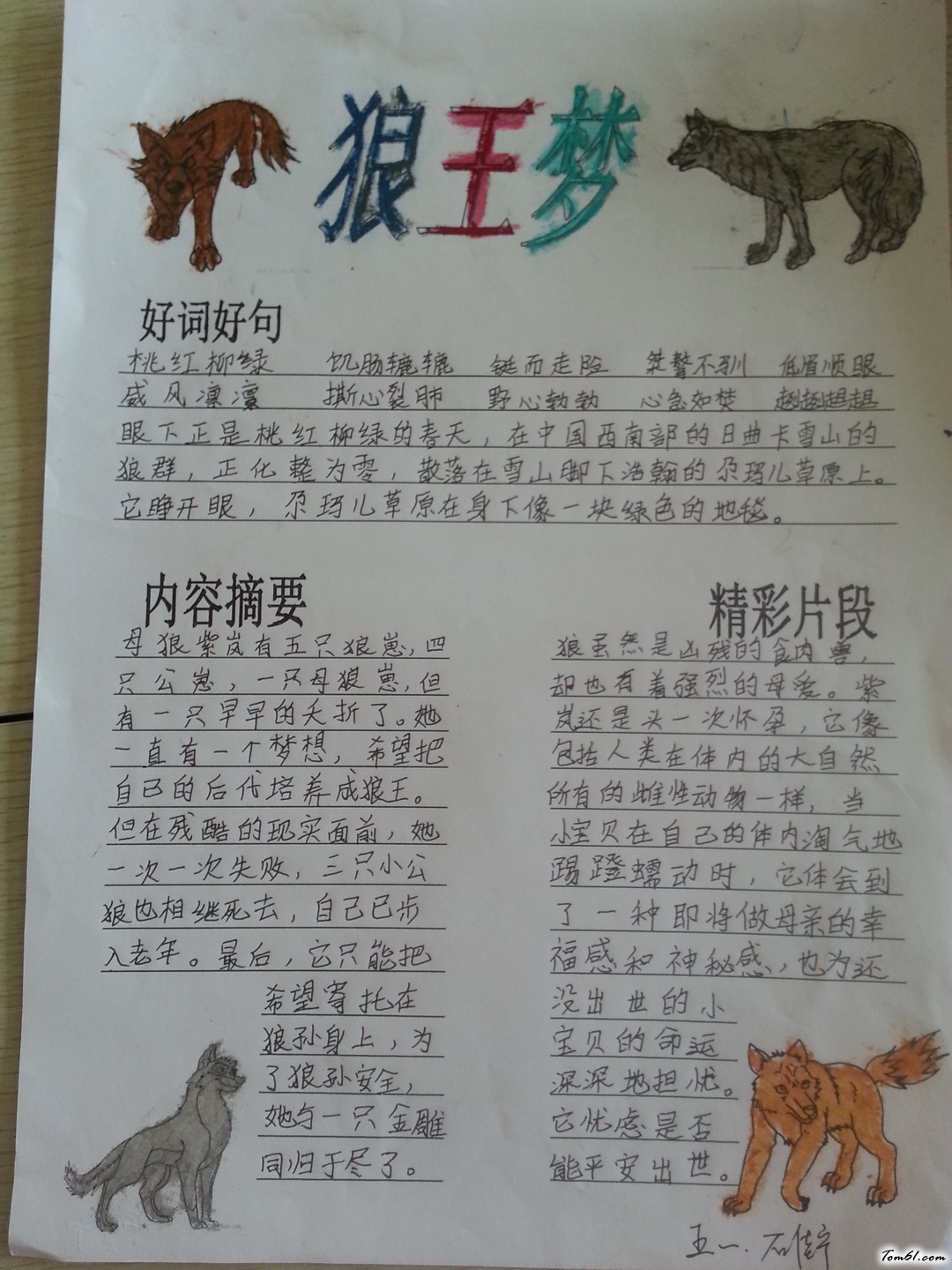 狼王梦手抄报版面设计图4图片1