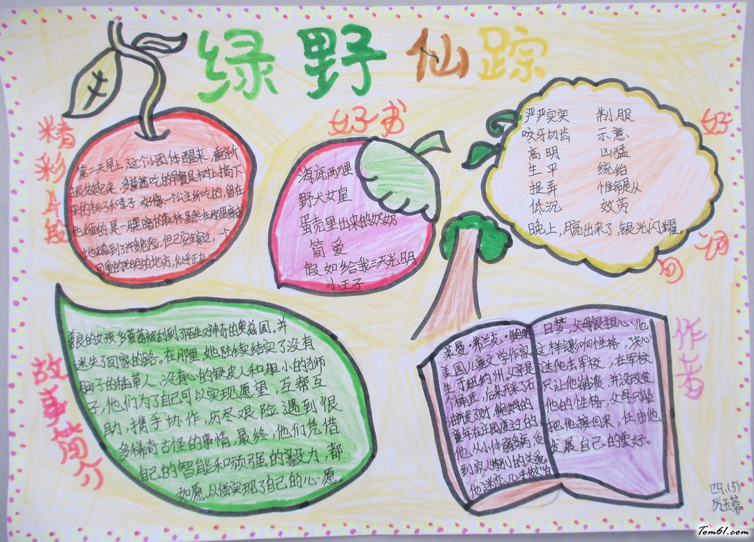 四年级绿野仙踪手抄报版面设计图3图片1